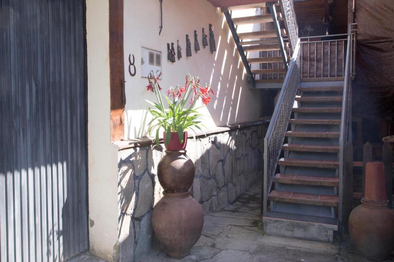 Casas del Monte La Charca De La Dehesaヴィラ エクステリア 写真